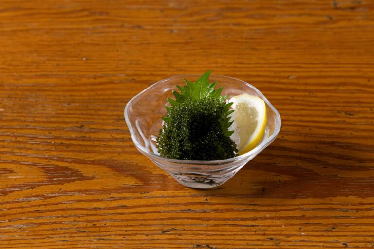 北海道厚岸 直送 活き牡蠣！